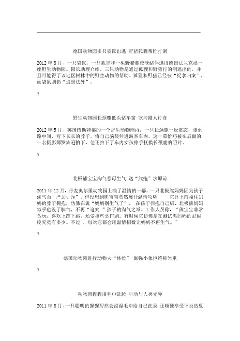 盘点全球动物的爆笑雷人事