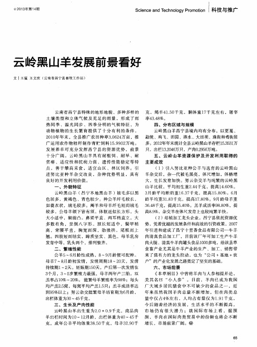 云岭黑山羊发展前景看好