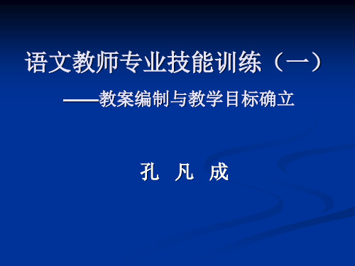 语文教师专业技能训练(一)