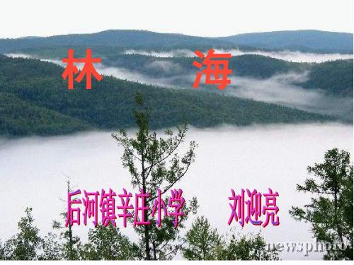 六年级语文林海