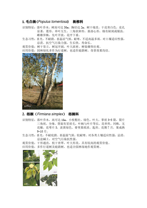 华北常见植物