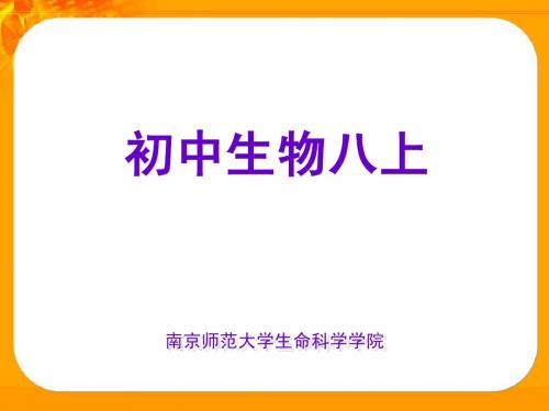 八上教材解读