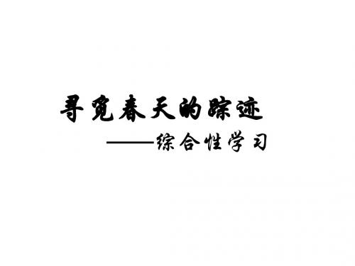 寻觅春天的踪迹(八下第二单元综合实践)