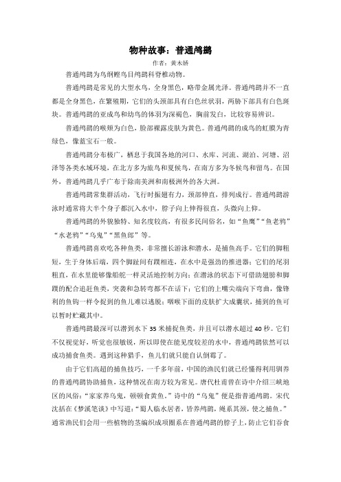 物种故事普通鸬鹚：捕鱼高手