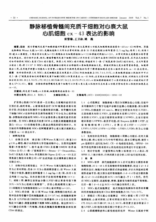静脉移植骨髓间充质干细胞对心衰大鼠心肌细胞cx-43表达的影响
