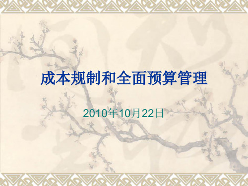 成本规制和全面预算管理ppt课件