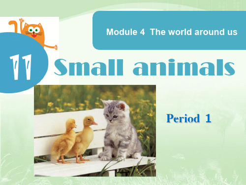 沪教版三年级英语上册Unit 11《Small animals》课件