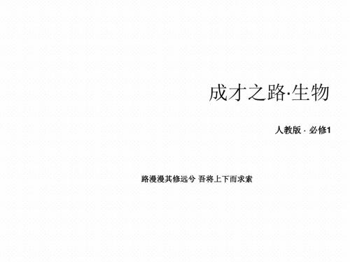 2013高一生物课件3-3《细胞核——系统的控制中心》(新人教版必修1)