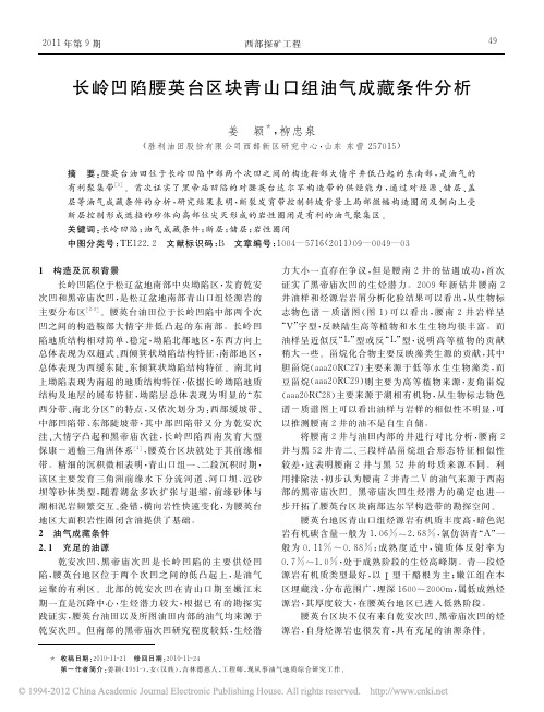 长岭凹陷腰英台区块青山口组油气成藏条件分析