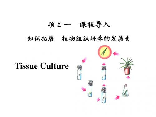 植物组织培养项目一  课程导入之组培发展史