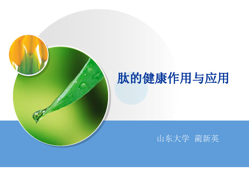 3肽的健康作用及应用