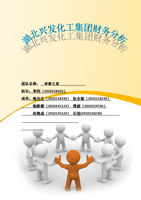 兴发集团财务分析