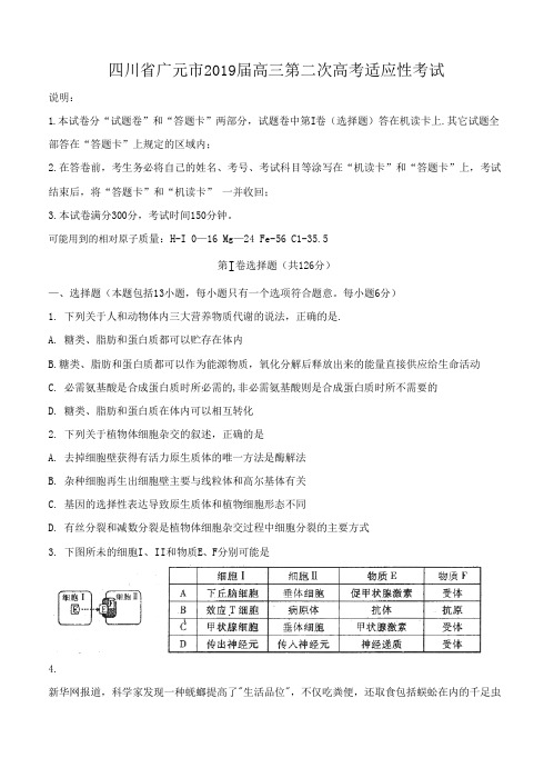 四川省广元市2019届高三第二次高考适应性考试理科综合试题