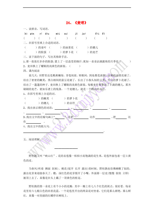 四年级语文下册 第六单元 24 麦哨同步练习 新人教版