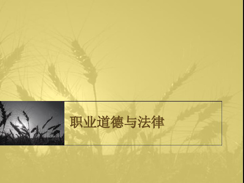 职业道德与法律(前言)