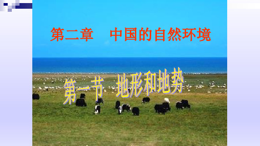 人教版八年级上册第二章中国的自然环境第一节地形和地势 (9)