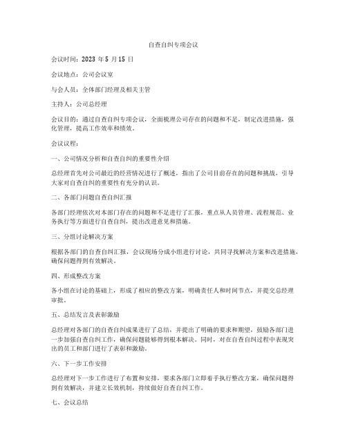 自查自纠专项会议