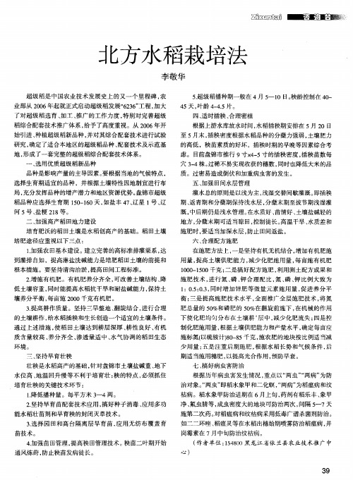 北方水稻栽培法
