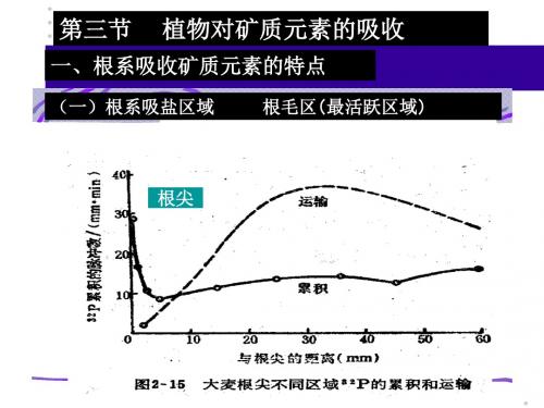 第三节 植物对矿质元素的吸收