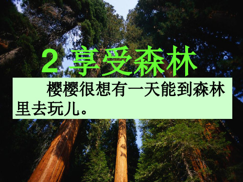 2享受森林