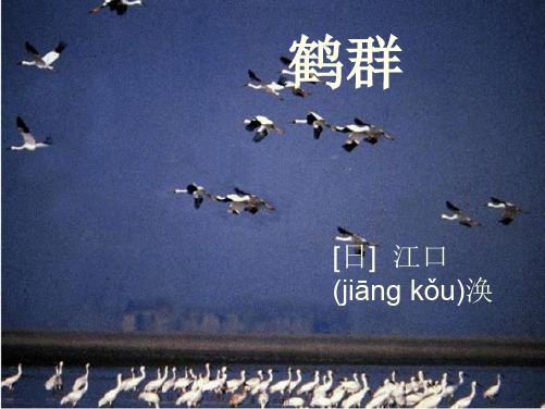 初中语文七年级下册《鹤群》课件