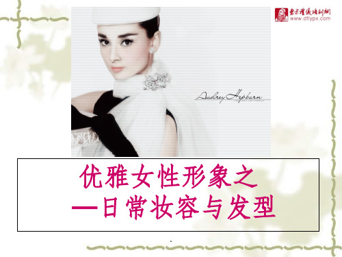 职业淡妆ppt课件
