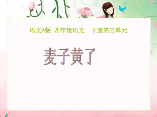 《麦子黄了》课件(2)