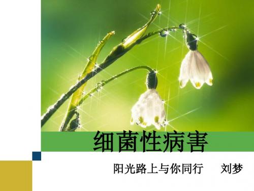 细菌性病害