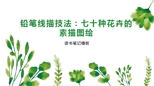 铅笔线描技法：七十种花卉的素描图绘