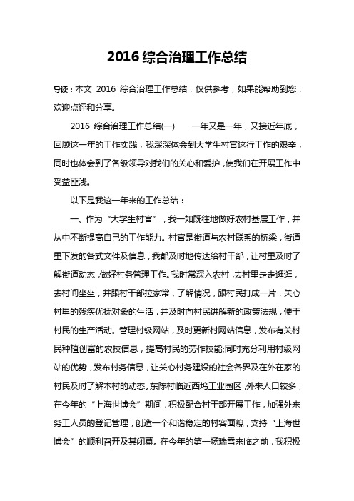2016综合治理工作总结
