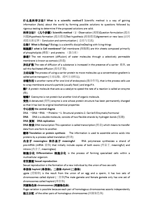 双语课名词解释