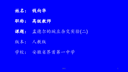 自由组合定律公开课PPT课件