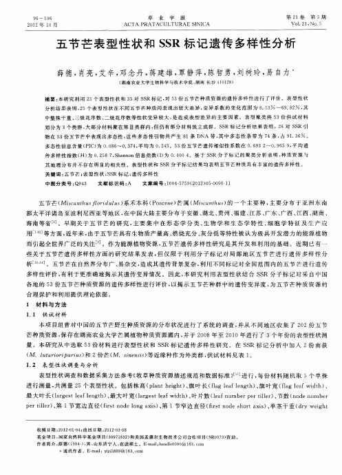 五节芒表型性状和SSR标记遗传多样性分析