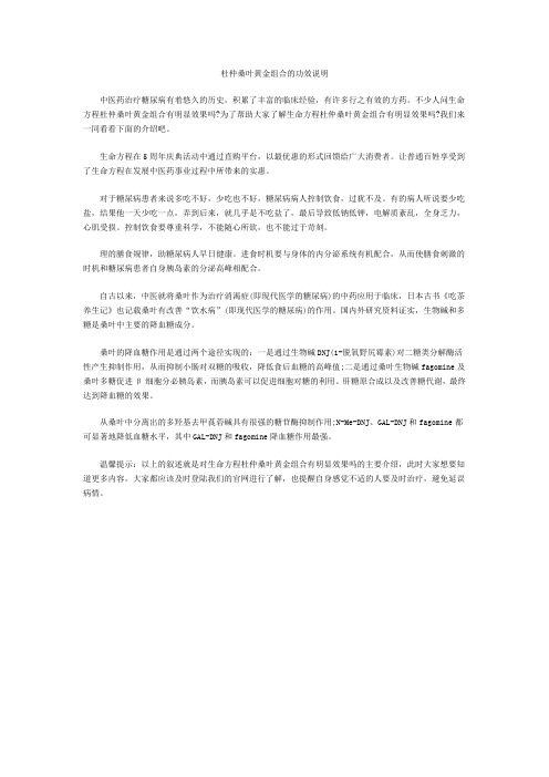 杜仲桑叶黄金组合的功效说明