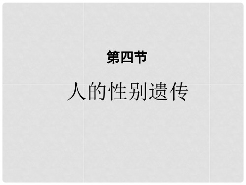 八年级生物下册 第七单元 第二章 第四节 人的性别遗传