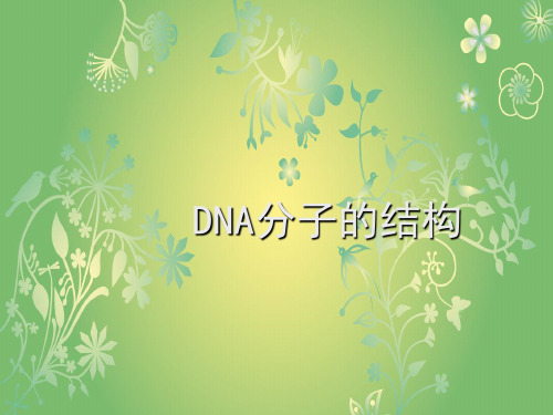 DNA分子结构PPT教学课件