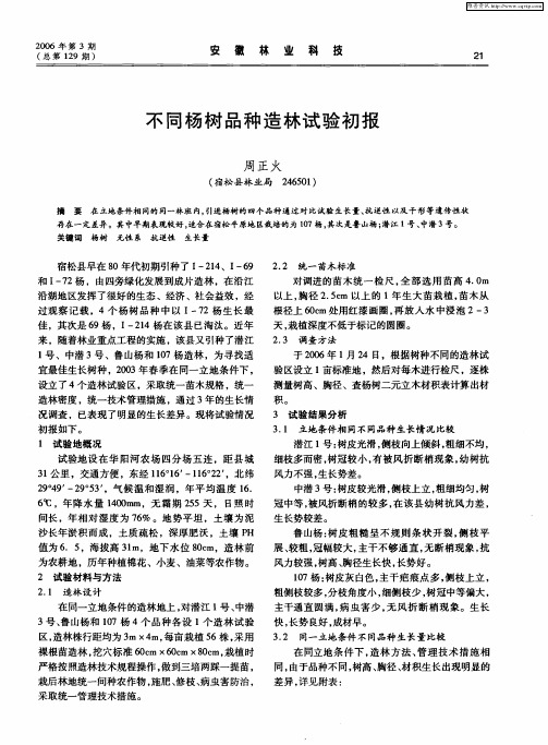 不同杨树品种造林试验初报