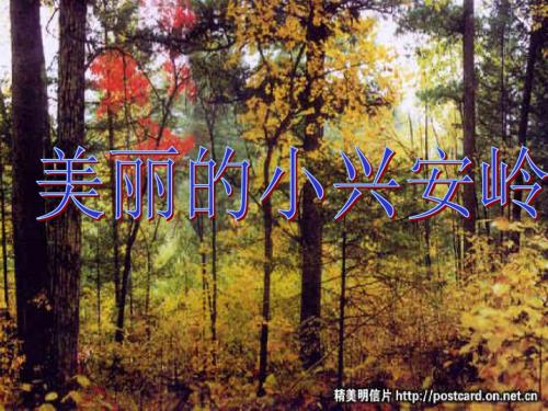 美丽的小兴安岭