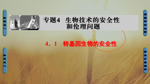 2018学年高中生物选修三课件 专题4 生物技术的安全性和伦理问题 专题4 4.1