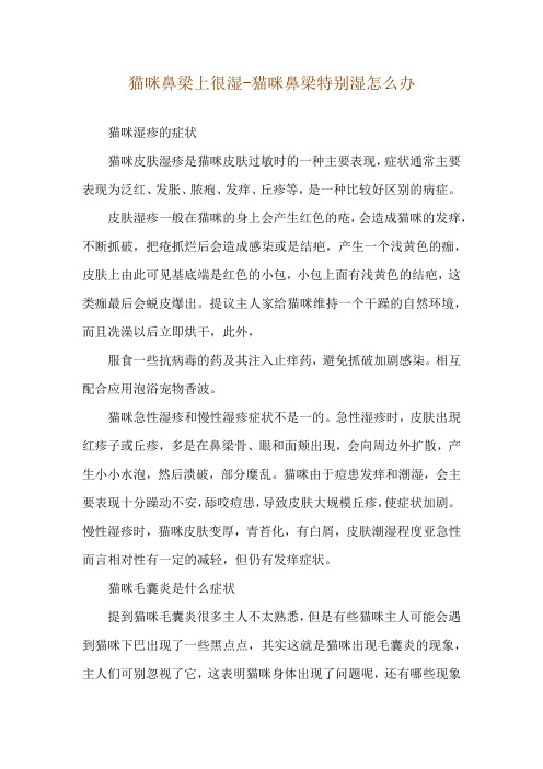 猫咪鼻梁上很湿-猫咪鼻梁特别湿怎么办