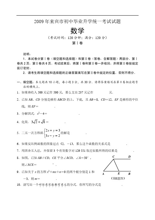 2009年中考数学第1卷