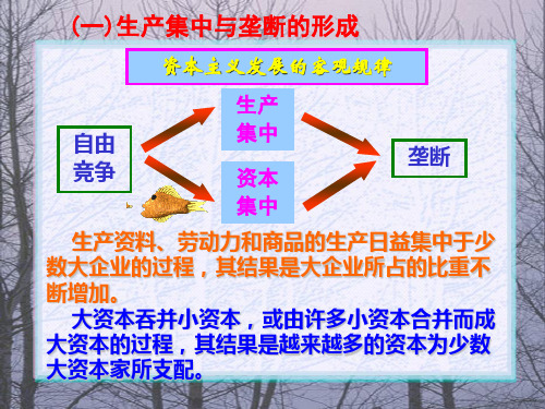 马克思主义哲学第五章-1从自由竞争资本主义到垄断资本主义-PPT精选文档