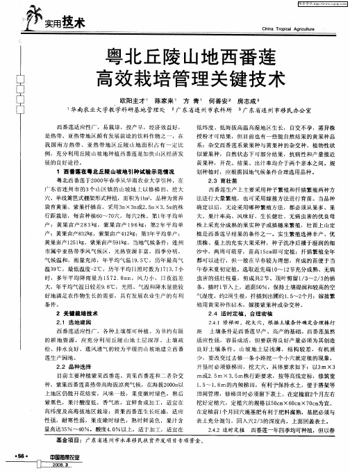 粤北丘陵山地西番莲高效栽培管理关键技术