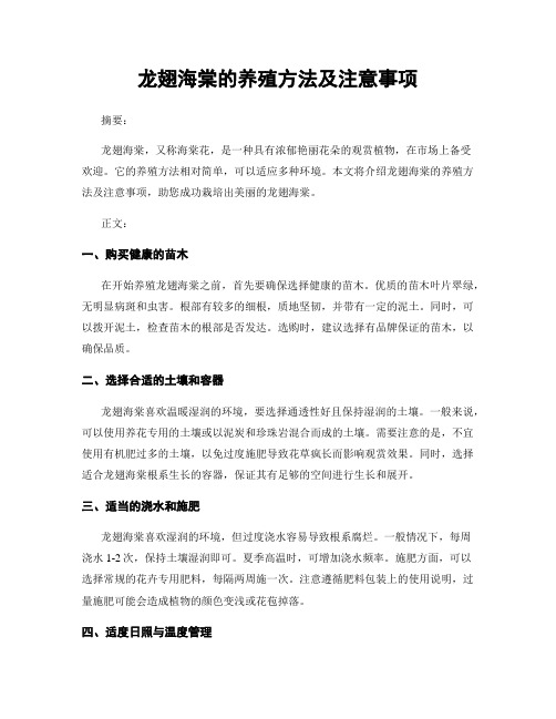 龙翅海棠的养殖方法及注意事项