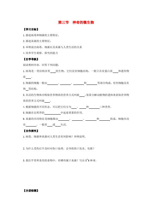 330.苏教版八年级生物上册《 14章 3节 神奇的微生物》教案 (1)