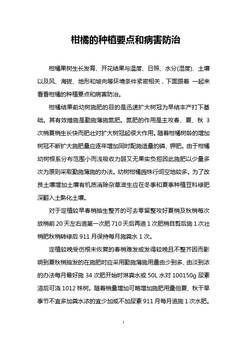 柑橘的种植要点和病害防治