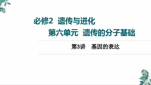 [人教版]高中生物教材《基因的表达》PPT课件分析