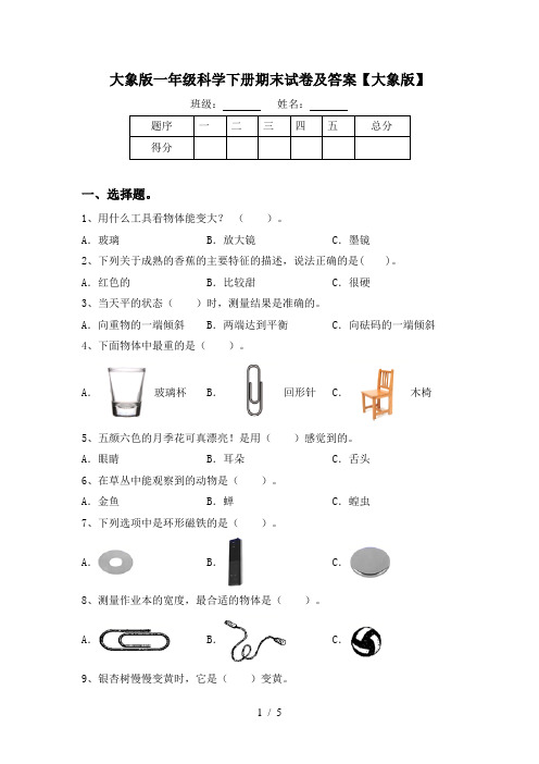 大象版一年级科学下册期末试卷及答案【大象版】
