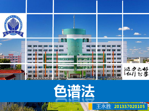 色谱法简介详解