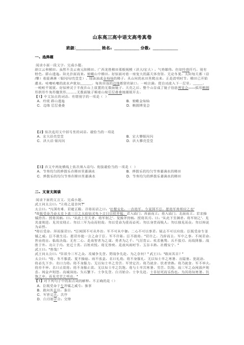 山东高三高中语文高考真卷带答案解析
